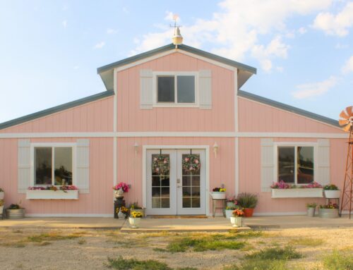 The Little Pink Barn Update